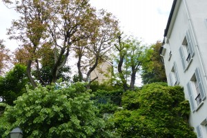 P1050050