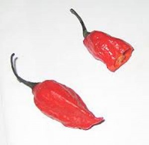 naga