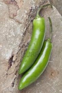 serrano