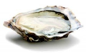 huîtres spéciales de claire