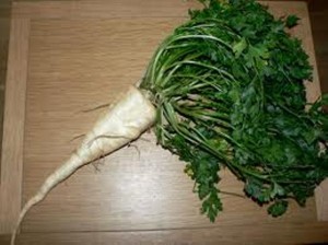 persil tubereux