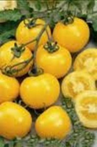 lemon