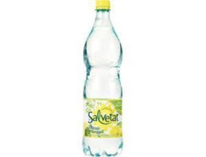 la salvetat