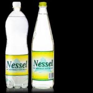 nessel
