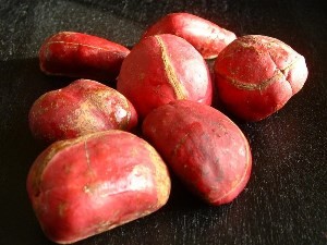 Noix de kola ou noix de cola1