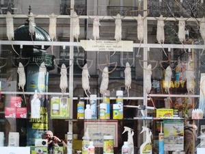 ???????????????????????????????