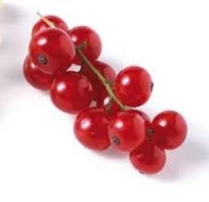 GROSEILLE