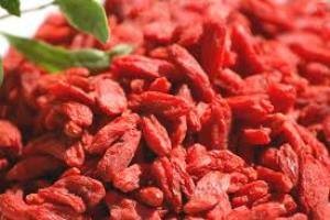 baie de goji
