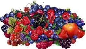 corpsfruitrouge