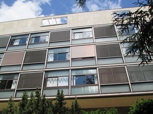 IMG_6259