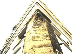 IMG_7906