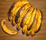lacatan.banane