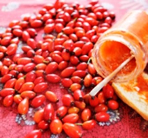 fiche_cueillette.indd