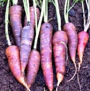 ????????????????????????????????????????????????????????????