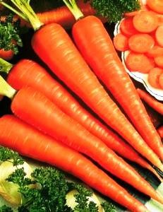 ????????????????????????????????????????????????????????????