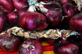 oignon doux ou Rouge de Toulouges
