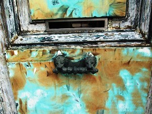 IMG_7554