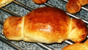 La-Coquille-de-Noel-du-Nord-de-la-France_visuel_recette