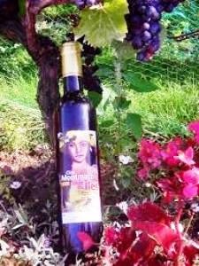 vin de montmartre