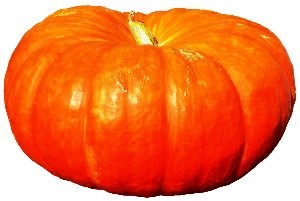 Potiron