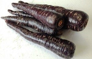 Carotte violette