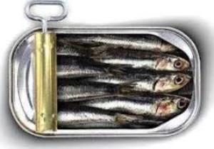 aaacorpssujetsardines3