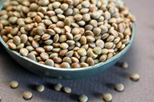 lentille de Saint-Flour