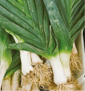 monstrueux de carentan