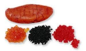 alaunediversoeufsdepoissons